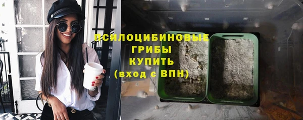 МДПВ Михайлов