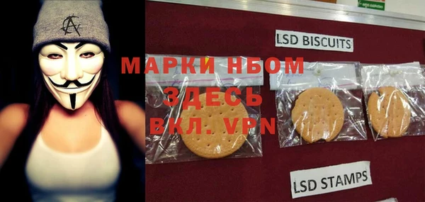 амф Надым