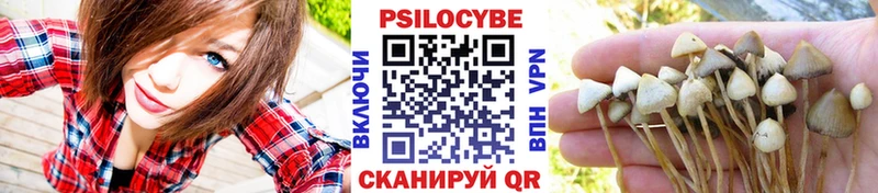 Псилоцибиновые грибы Psilocybine cubensis  наркотики  Домодедово 