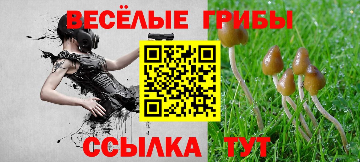 Галлюциногенные грибы MAGIC MUSHROOMS Домодедово
